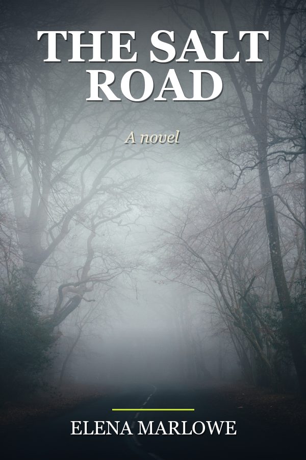 The Salt Road by Elena Marlowe, book cover design